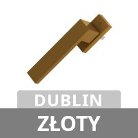 Dublin - złoty