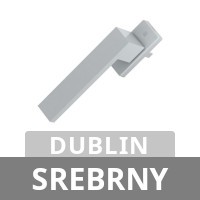 Dublin - srebrny