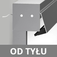 Lewy tył
