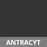 Mechanizm - Antracyt