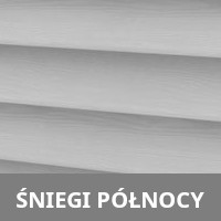 Śniegi północy