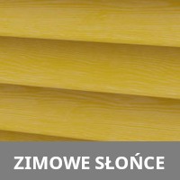 Zimowe słońce