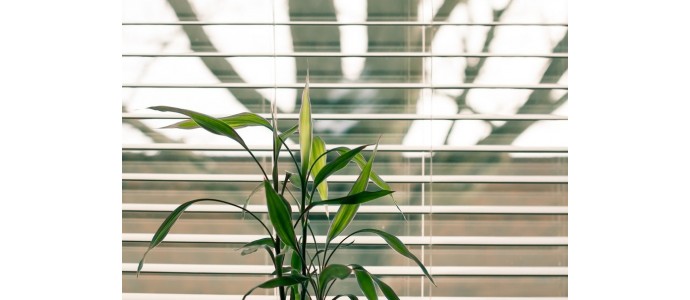 Żaluzje fasadowe jak czyścić i konserwować?